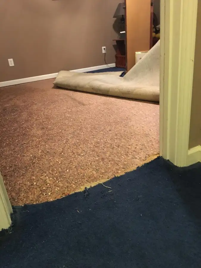 Carpet pad removal revealing water damage during Water Mitigation Services in Loyalsock