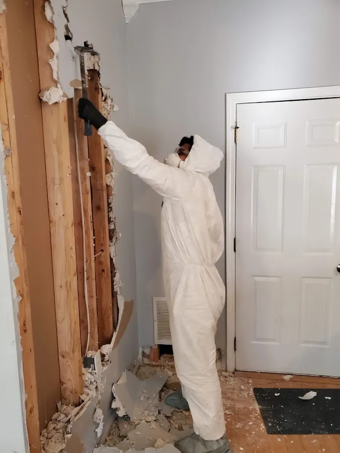 Odor Removal & Deodorization in Loyalsock, PA